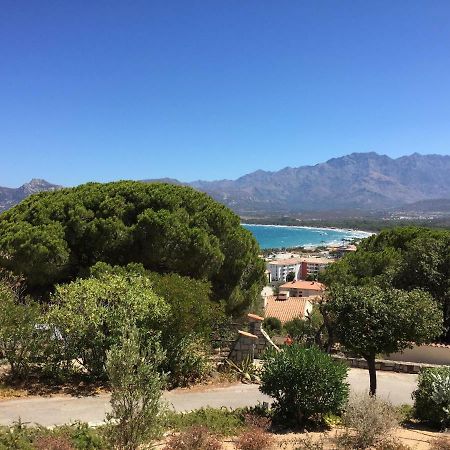 Appartement Calvi Calvi  Bagian luar foto