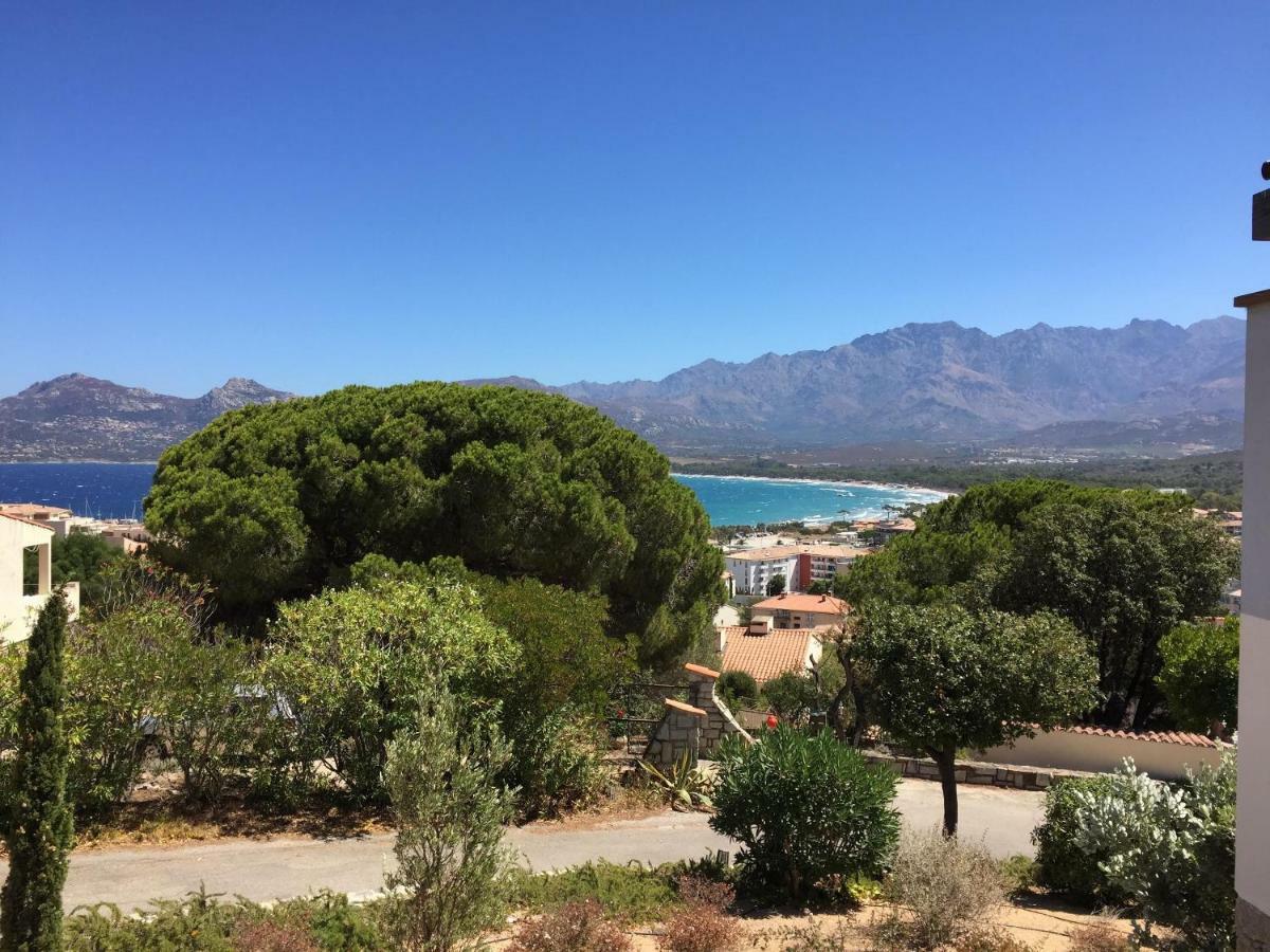 Appartement Calvi Calvi  Bagian luar foto